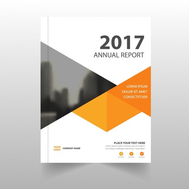 Annual Audit Report 2017