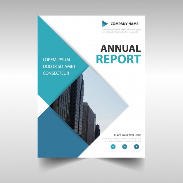 Annual Audit Report 2016